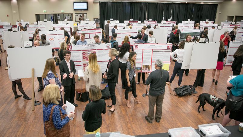Culverhouse Student Researchers Recognized at UA’s 2022 Undergraduate Research and Creative Activities Conference